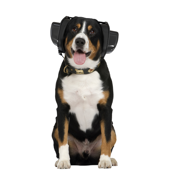 Orejeras antiruido para perros BOLLSEN Dog+